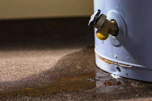 Best Ceiling water damage repair  in Dewart, PA