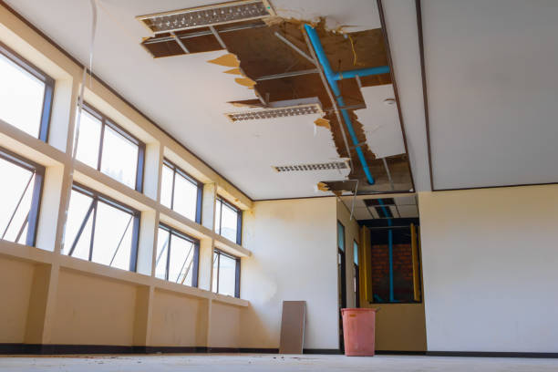Best Sewage cleanup and water damage restoration  in Dewart, PA