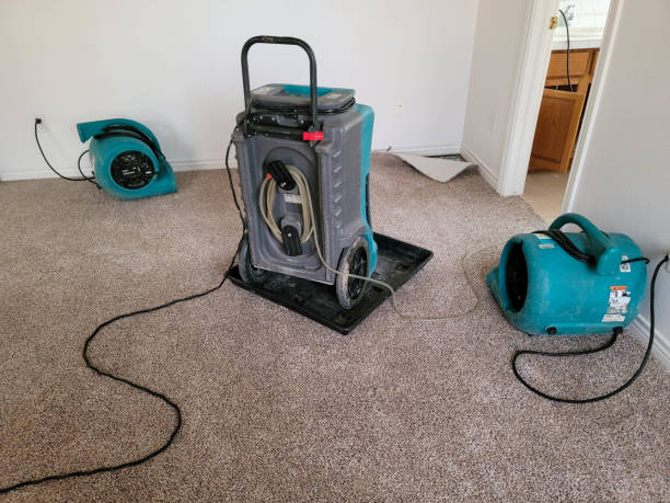 Best Water damage restoration experts  in Dewart, PA