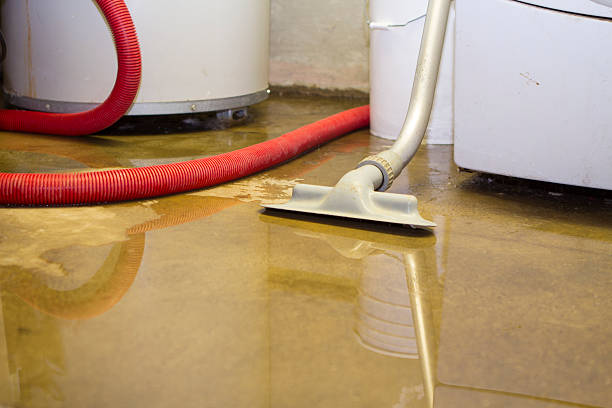 Best Water damage contractors near me  in Dewart, PA