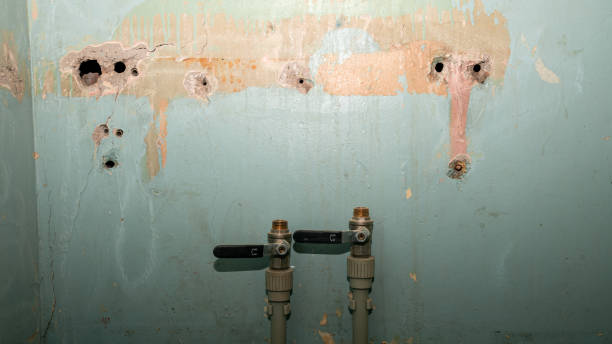 Best Basement water damage restoration  in Dewart, PA