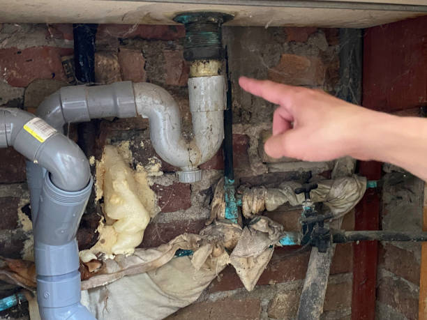 Best Fire Damage Restoration  in Dewart, PA