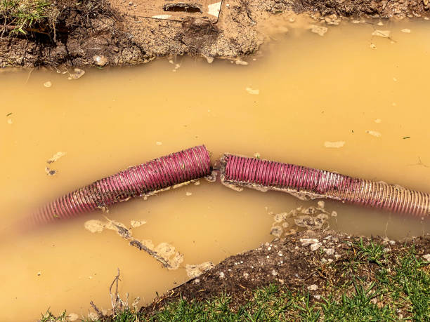 Best Local water damage restoration  in Dewart, PA