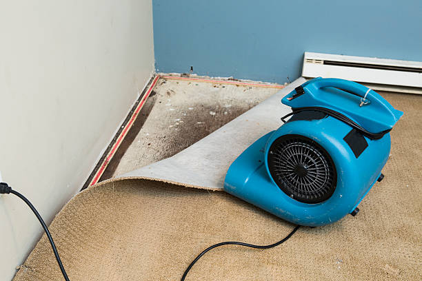 Best Residential water damage restoration  in Dewart, PA